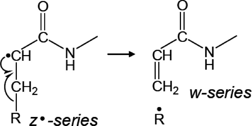 Scheme 5. Mechanism of formation of w-series fragments from z·-series fragments.