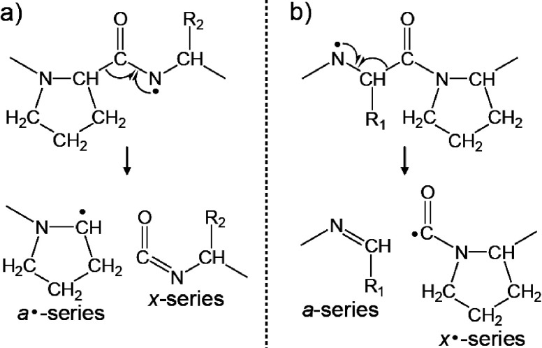 Scheme 8. The formation of (a) a·/x and (b) a/x· fragment pairs originated from the cleavage of Cα–C bonds at Pro residue.