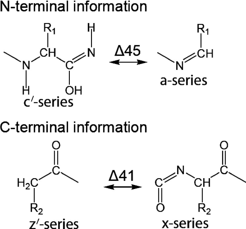 Scheme 11. Structure of ISD fragments.