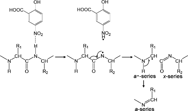 Scheme 7. The mechanism of MALDI-ISD via hydrogen abstraction.