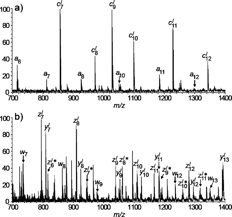 Fig. 3. Positive-ion MALDI-ISD mass spectra of (a) ACTH18–35 and (b) [Arg18]-ACTH19–36 with 5-ASA. The asterisk for the z-series ions denotes the matrix adduct of the z-series ions. [Modified from ref. 22 with Copyright permission of Springer.]