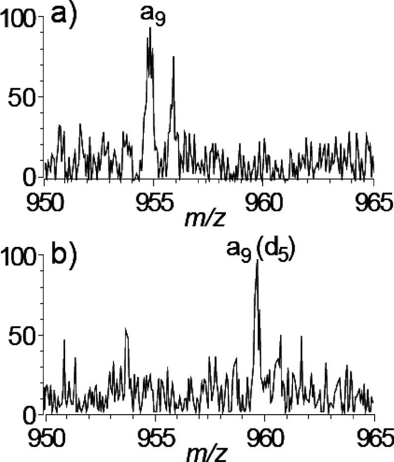 Fig. 4. Partial MALDI-ISD spectra of (a) synthetic peptide RLGNQWAVGDLAE and (b) deuterium-labeled peptide RLGNQWA(d3)VG(d2)DLAE with 5-NSA. [Reproduced from ref. 22 with Copyright permission of Springer.]