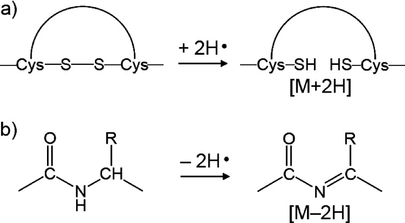 Scheme 2. Mechanism for the formation of (a) [M+2H] and (b) [M−2H].