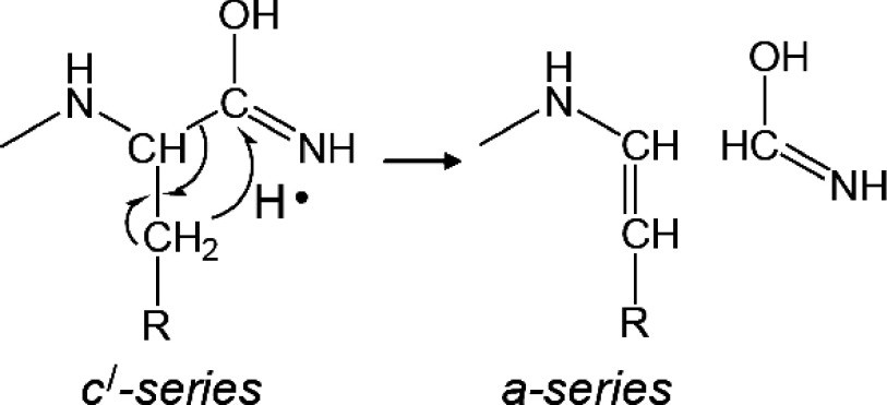 Scheme 6. The formation mechanism of a-series fragments from c′-series fragments with hydrogen transfer from the β-carbon.