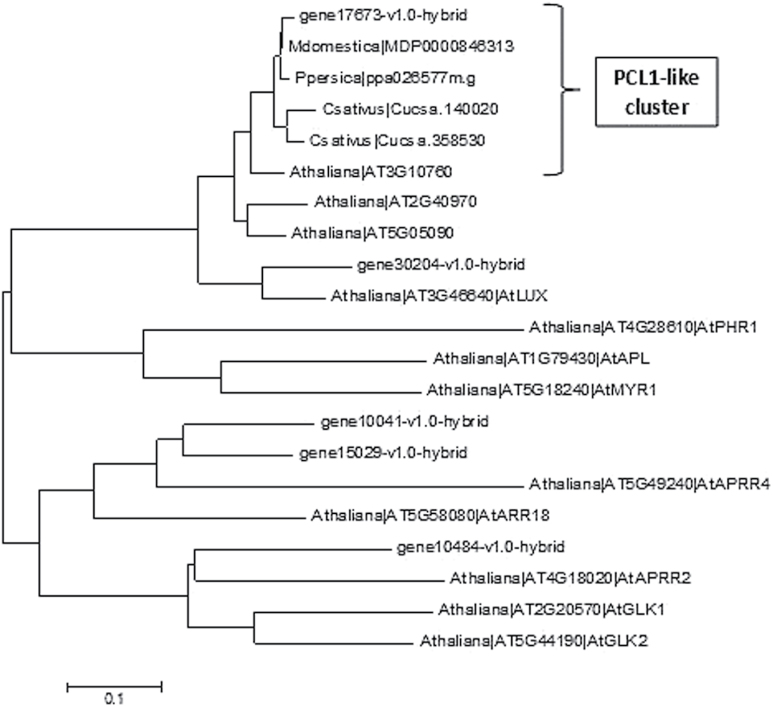 Fig. 3.