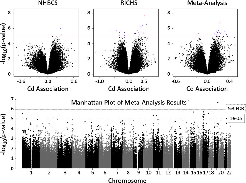 Figure 1 comprises volcano plots and manhattan plot of meta-analysis results. The former plots negative log sub 10 (p value) (y-axis) across Cd association (x-axis) for cohorts NHBCS, RICHS, and meta-analysis. The latter plots negative log sub 10 (p value) (y-axis) across chromoses (x-axis).