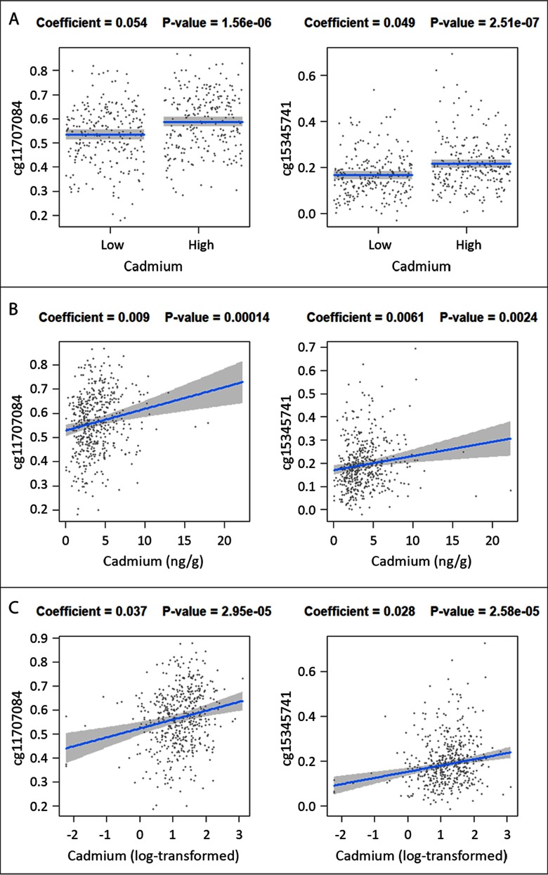 Figure 2A comprises two scatterplots with regression lines plotting two FDR-significant CpGs cg11701084 (left) (co-efficient equals 0.054 and the p-value equals 1.56 times 10 super negative 6) and cg15345741 (right) (co-efficient equals 0.049 and the p-value equals 2.51 times 10 super negative 7) (y-axis) across low and high dichotomous cadmium (x-axis). Figures 2B and 2C plot the same for continuous cadmium and log-transformed cadmium (x-axis), respectively. The co-efficient and p-values equal 0.009 and 0.00014 (cg11701084) and 0.0061 and 0.0024 (cg15345741) for continuous cadmium. The co-efficient and p-values equal 0.037 and 2395 × 10–5 (cg11701084) and 0.028 and 2.58 × 10–5 (cg15345741) for log-transformed cadmium.