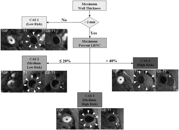 Fig 3.