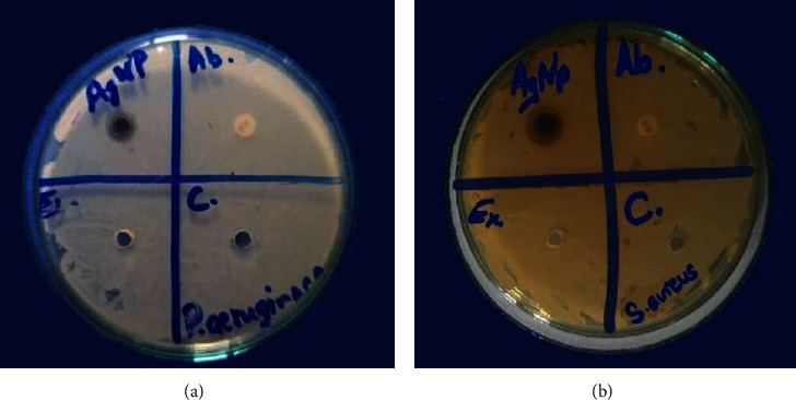 Figure 14