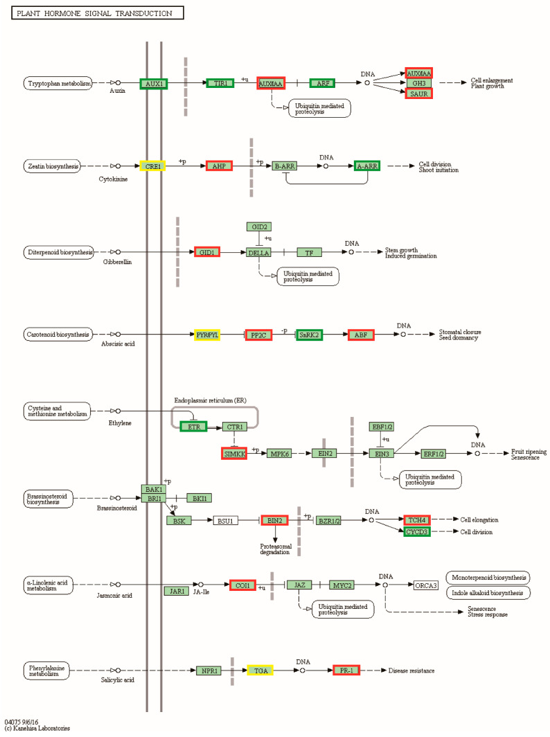 Figure 7