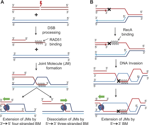 FIGURE 10.