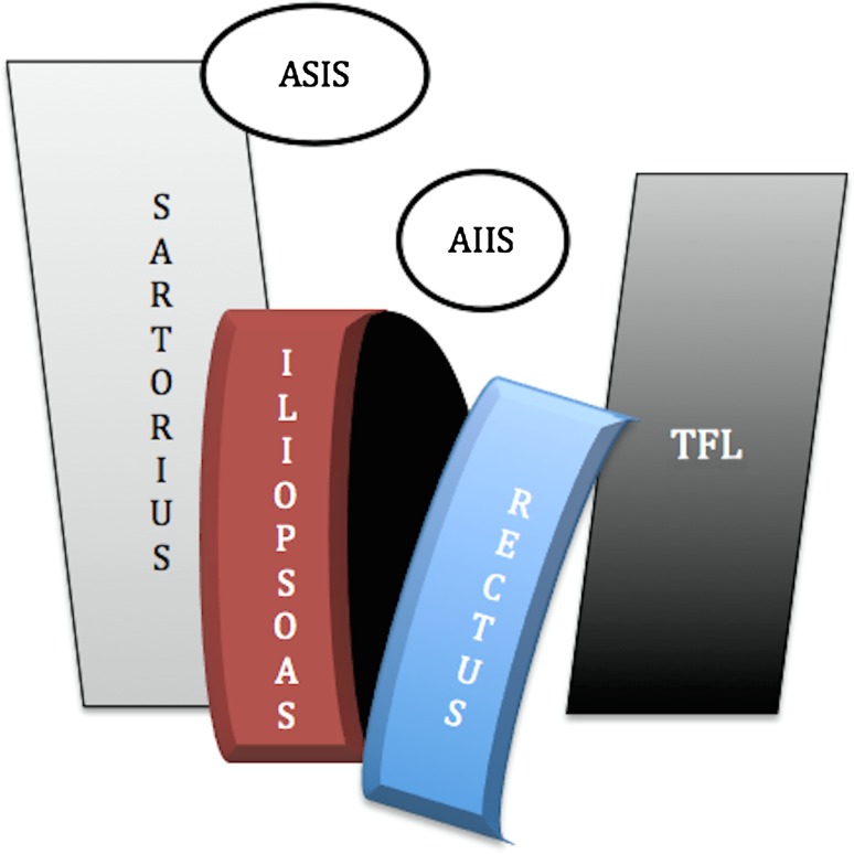 Fig. 1