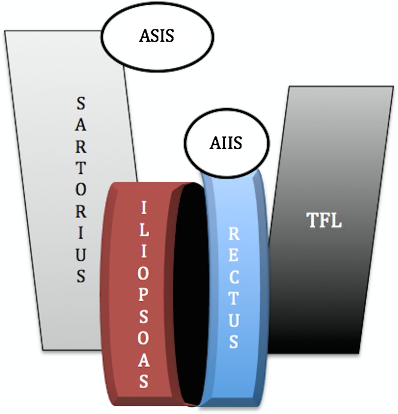 Fig. 2