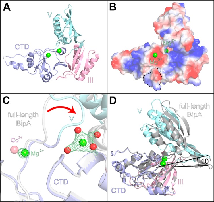 FIGURE 2.