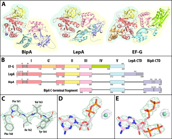 FIGURE 1.