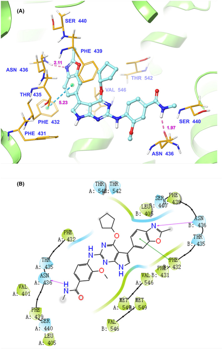 FIGURE 5