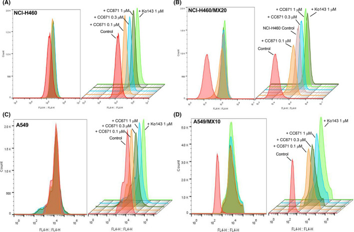 FIGURE 2