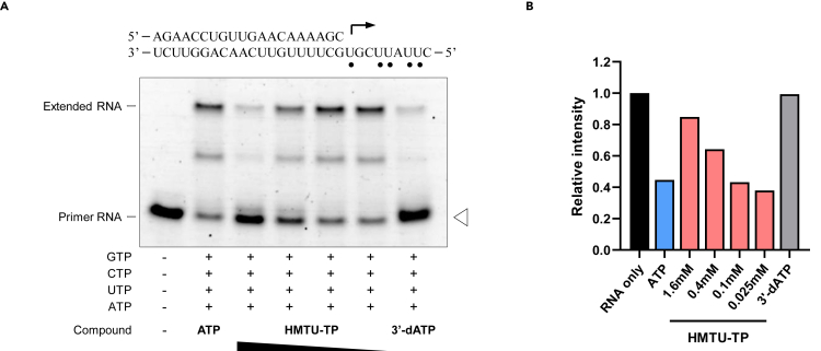 Figure 5