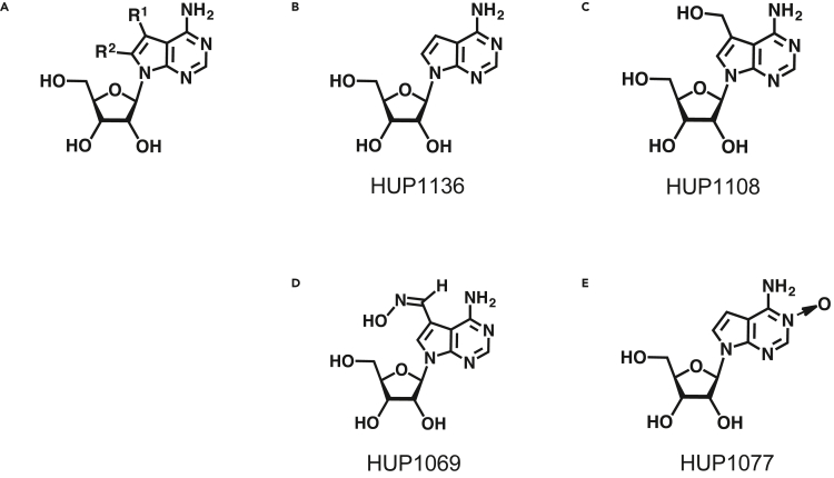 Figure 1