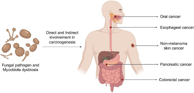 Image, graphical abstract