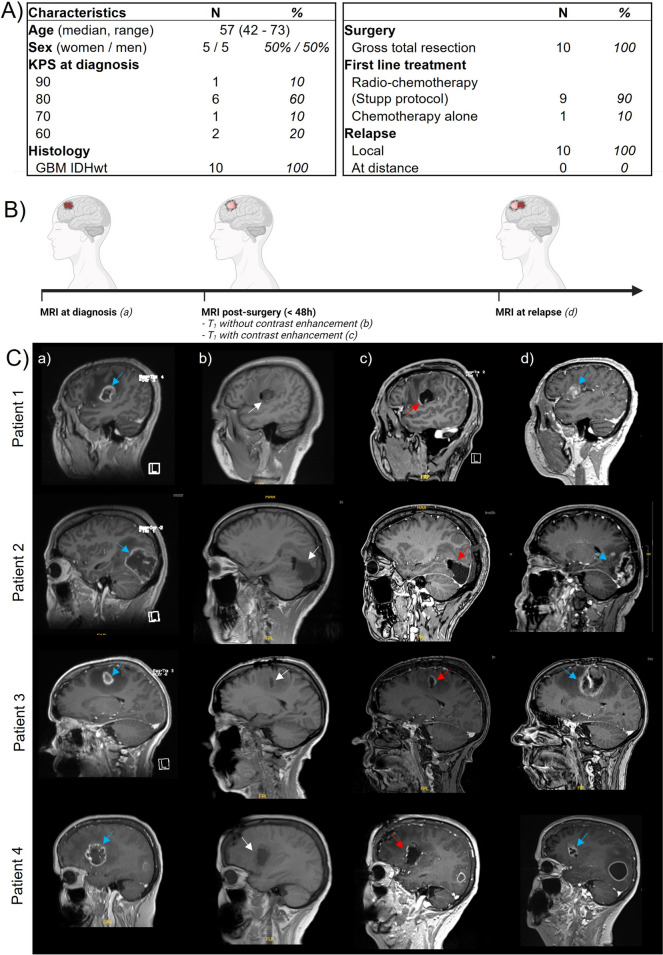 Fig. 3