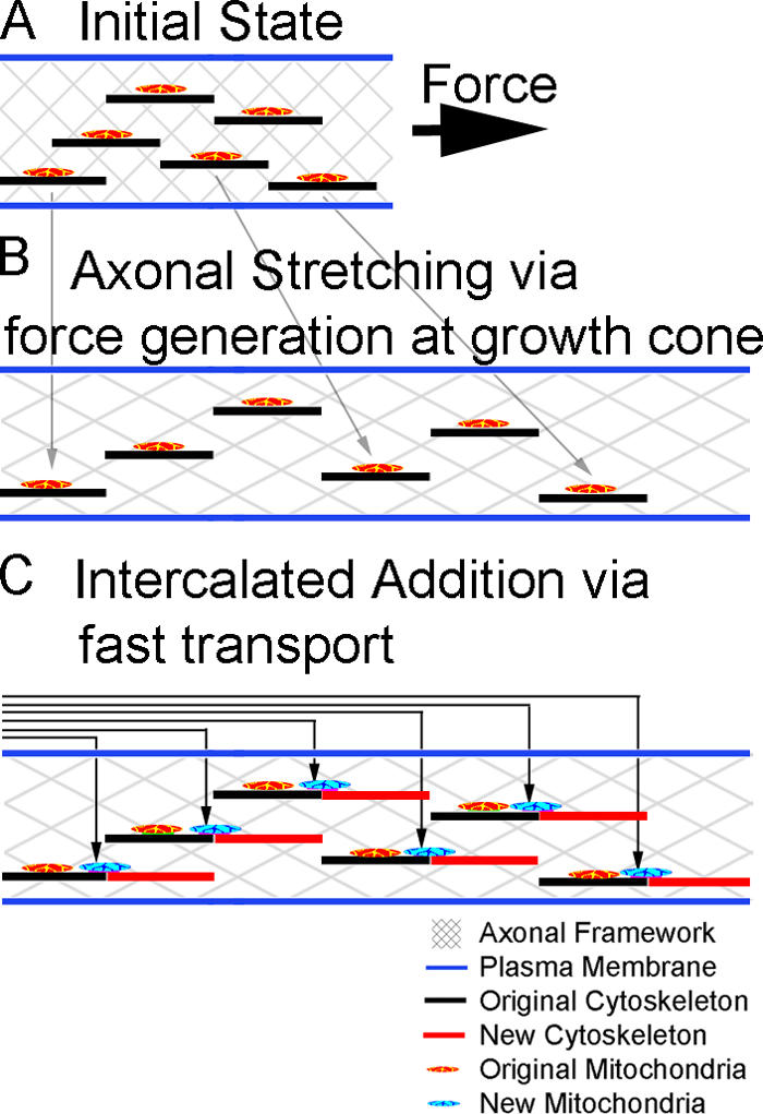 Figure 7.