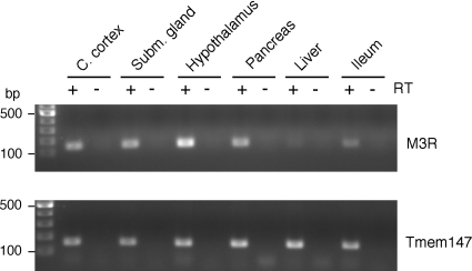 Fig. 11.