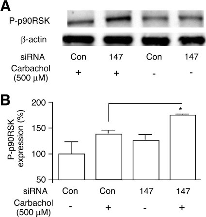 Fig. 10.