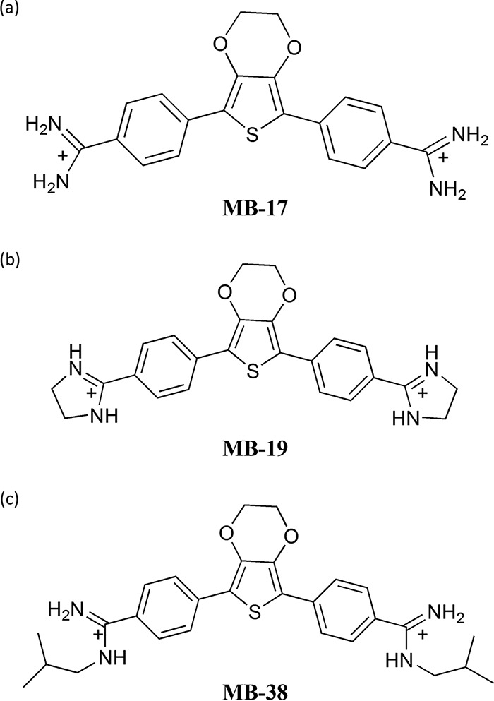 FIG 1