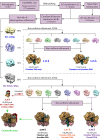 Figure 1—figure supplement 2.