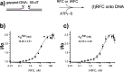Figure 4—figure supplement 7.
