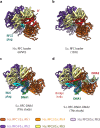Figure 2—figure supplement 1.