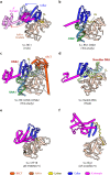 Figure 2—figure supplement 2.