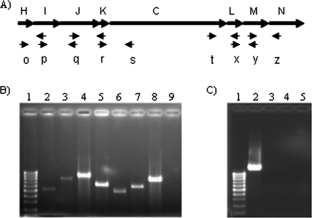 FIG. 2.