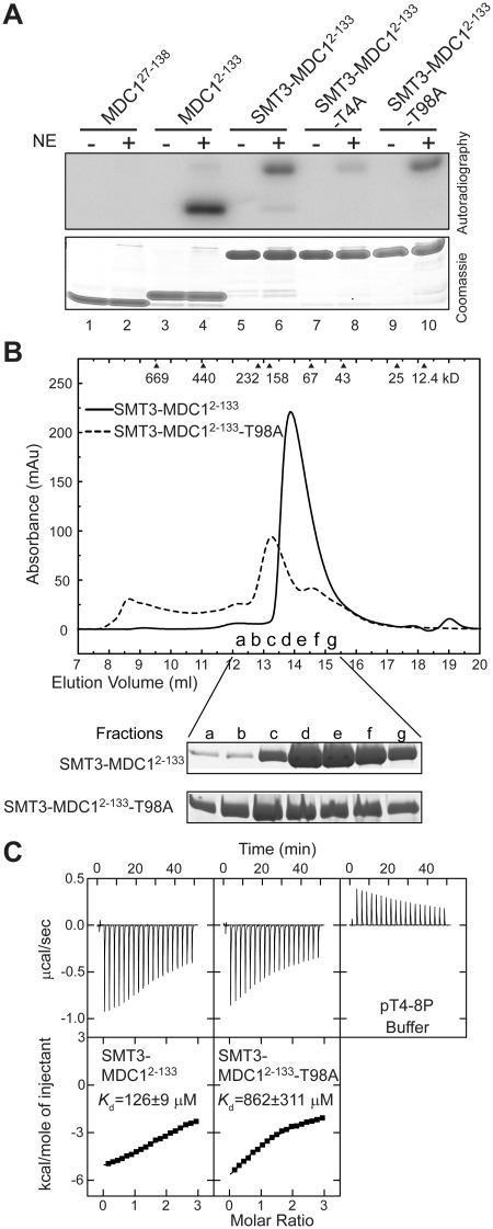 Figure 5.