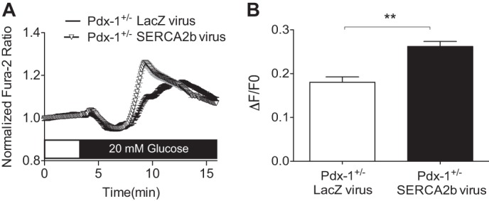 FIGURE 9.