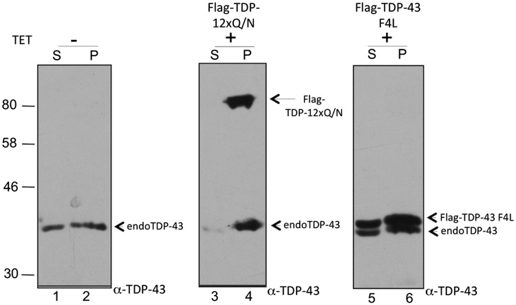 Figure 2.