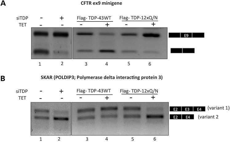 Figure 3.