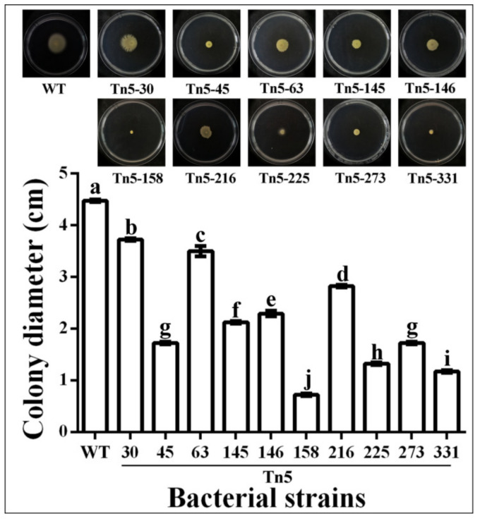 Figure 5