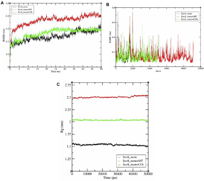 FIGURE 9