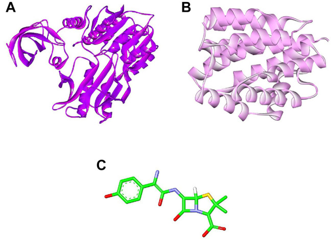 FIGURE 1