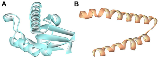 FIGURE 2