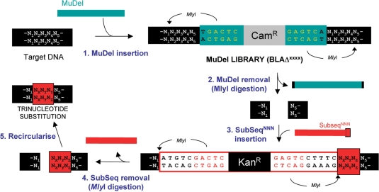 Figure 2.