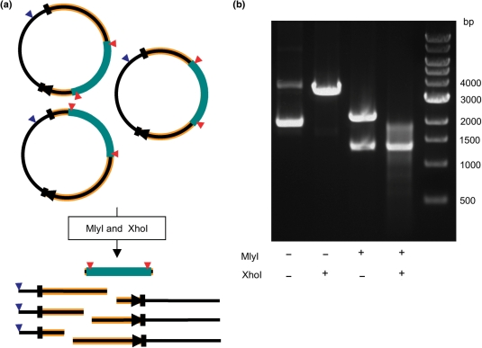 Figure 4.