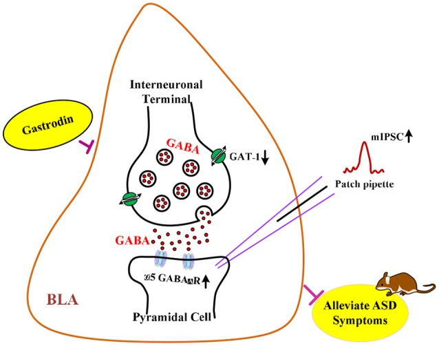 Graphical Abstract 1