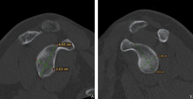 Fig. 2