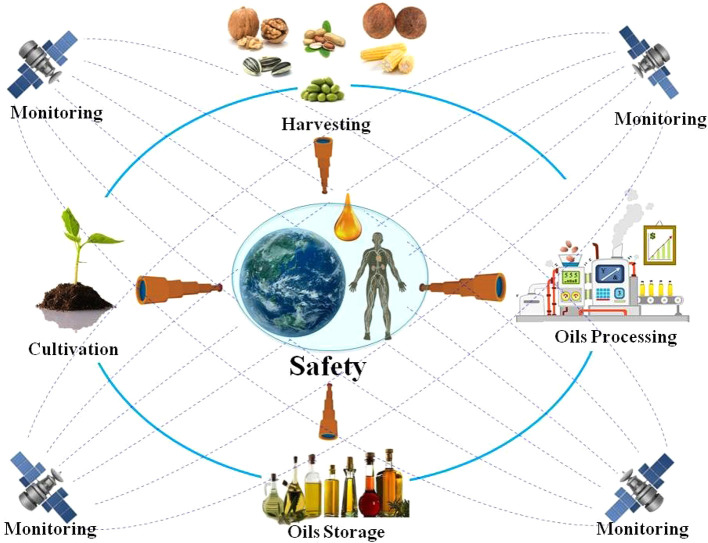 Graphical Abstract