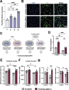 Figure 6: