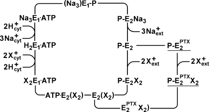 Figure 11.