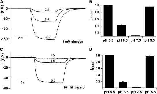 Figure 6.